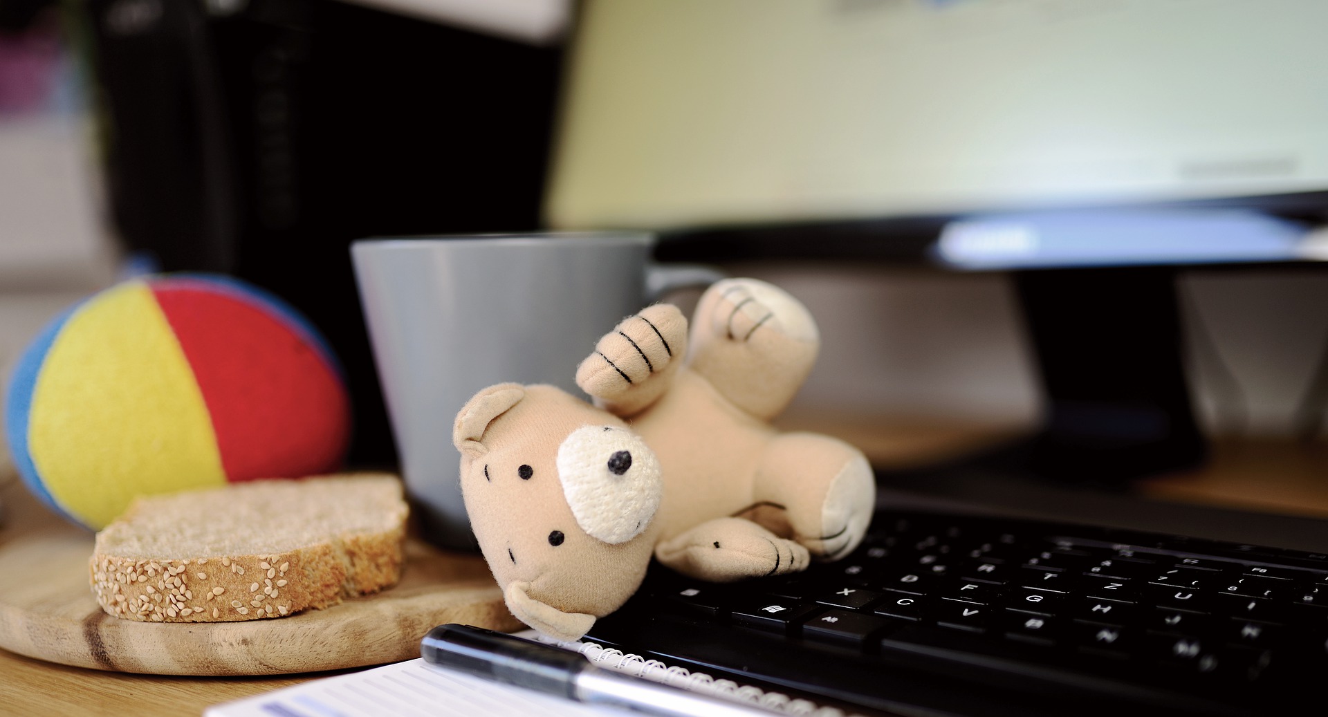teddy on keyboard